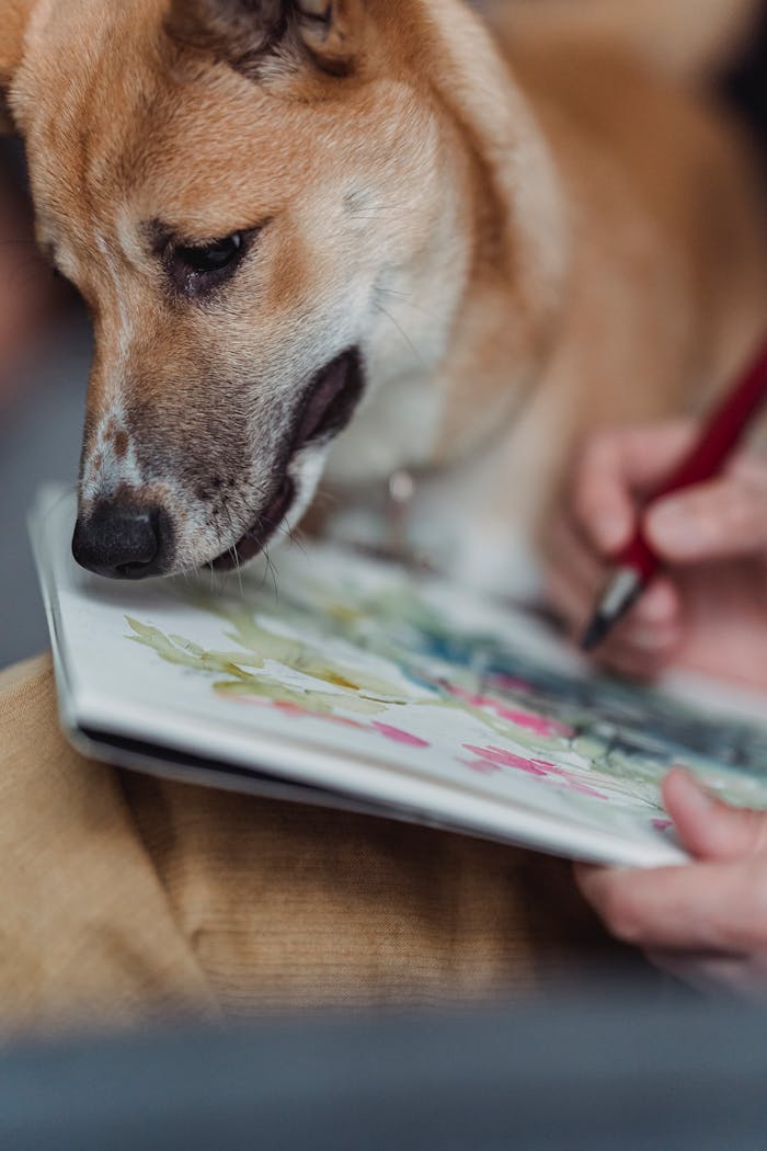 about-us-02 A curious dog watching a watercolor painting being created, showcasing a blend of art and companionship.